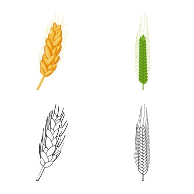 Tarım ve tarım simge vektör tasarımı. Tarım ve bitki hisse senedi simgesi için web topluluğu.