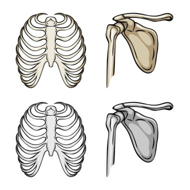 Tıp ve klinik işareti vektör tasarımı. İlaç ve tıbbi hisse senedi vektör çizim koleksiyonu.