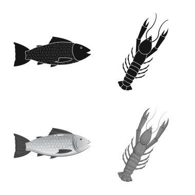 Taze ve restoran simge vektör Illustration. Hisse senedi için taze ve deniz vektör simge topluluğu.