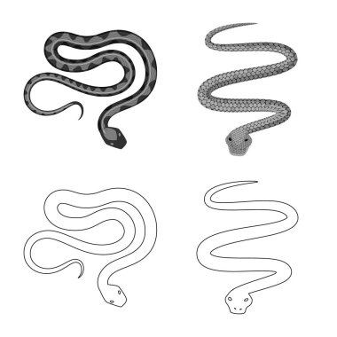 Memeli ve tehlike logo vektör Illustration. Memeli ve tıp hisse senedi simgesi için web topluluğu.