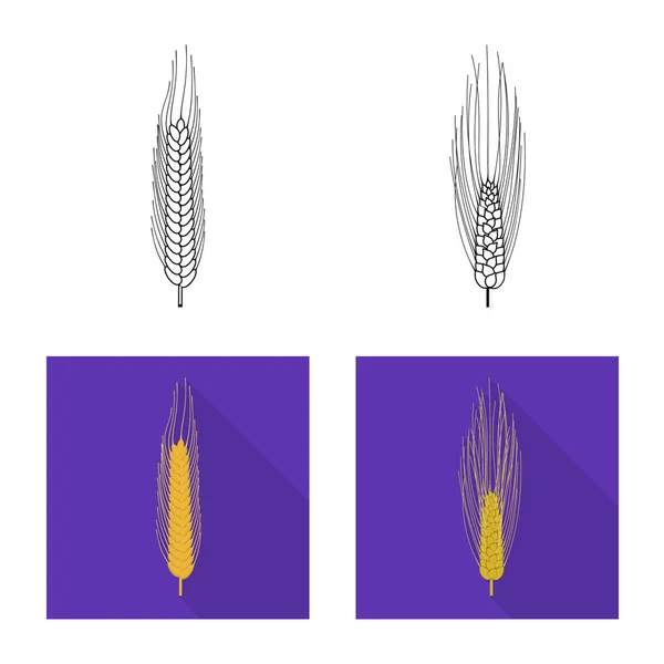 Conception vectorielle du logo agricole et agricole. Ensemble d'illustration vectorielle de l'agriculture et du matériel végétal . — Image vectorielle