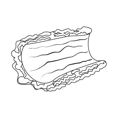 Kabuk ve parça simgesivektör tasarımı. Stok için kabuk ve kereste vektör simgesi koleksiyonu.