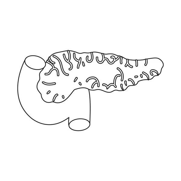 췌장 및 오르간 로고의 벡터 그림입니다. 주식에 대한 췌장 및 다이어그램 벡터 아이콘의 집합. — 스톡 벡터