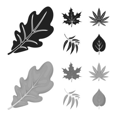 Vegan ve organik logo vektör Illustration. Vegan ve taze stok vektör çizim koleksiyonu.