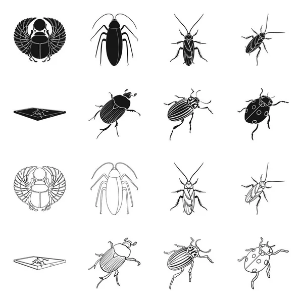 Vector design of insect and beetle sign. Collection of insect and halloween vector icon for stock. — Stock Vector