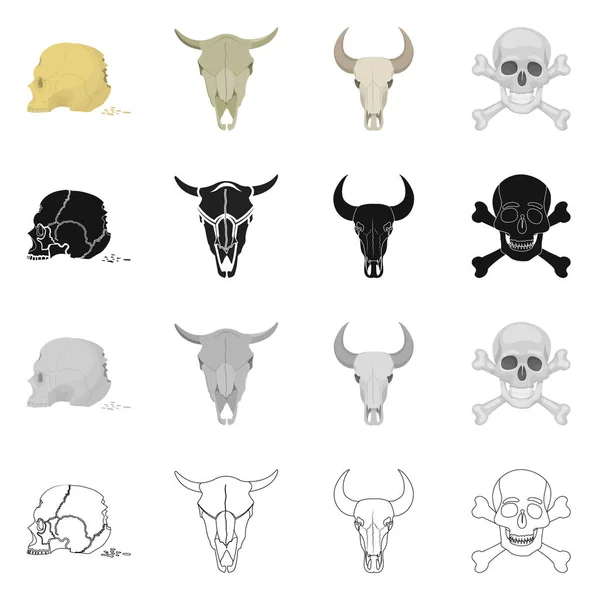 Diseño vectorial de esqueleto y signo de carácter. Conjunto de esqueleto y el símbolo de Halloween stock para la web . — Vector de stock