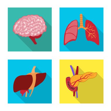 İnsan ve sağlık sembolüvektör illüstrasyon. Stok için insan ve bilimsel vektör simgesi koleksiyonu.