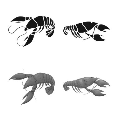 Meze ve okyanus simge vektör tasarımı. Meze dizi ve hisse senedi için incelik vektör simgesi.