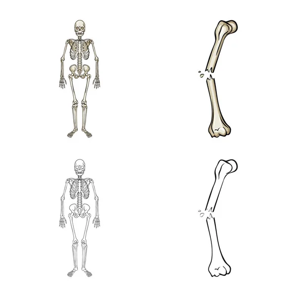 Objeto isolado da medicina e ícone da clínica. Jogo de medicina e símbolo de estoque médico de web . —  Vetores de Stock