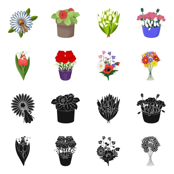 Diseño vectorial del logotipo de primavera y corona. Conjunto de primavera y flor símbolo de stock para la web . — Archivo Imágenes Vectoriales
