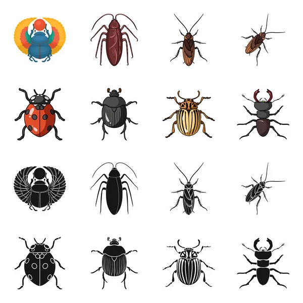 Isolated object of insect and beetle icon. Set of insect and halloween vector icon for stock. — Stock Vector