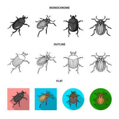 Böcek ve böcek logosuizole nesne. Böcek ve cadılar bayramı stok vektör illüstrasyon koleksiyonu.