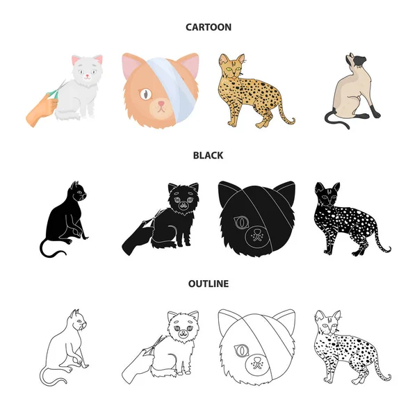 Diseño vectorial del signo de mascota y esfinge. Colección de mascotas y divertido icono de vector para la acción . — Vector de stock