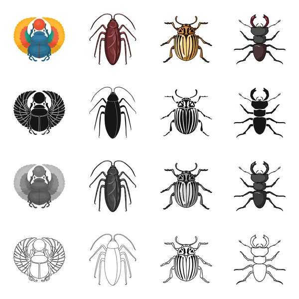 Vektorillustration des Insekten- und Käfersymbols. Sammlung von Insekten- und Halloween-Vektorillustrationen. — Stockvektor