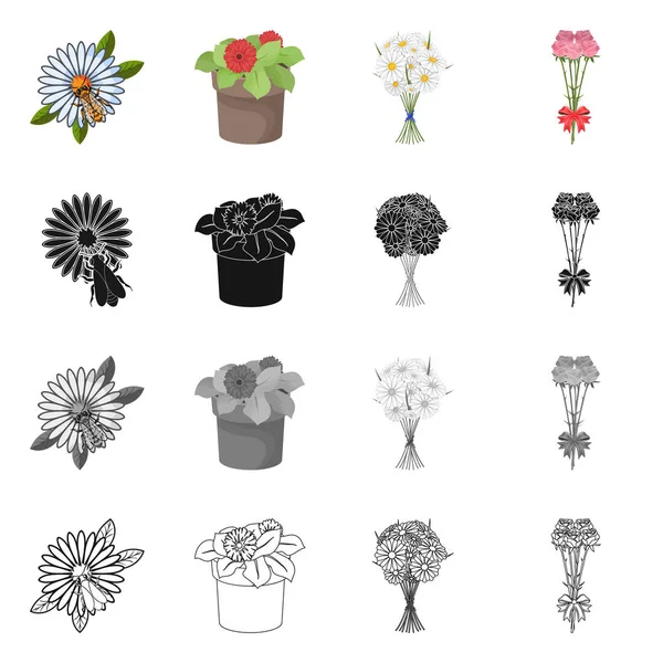 Vektorillustration des Frühlings- und Kranzlogos. Sammlung von Frühlings- und Blütensymbolen für das Web. — Stockvektor