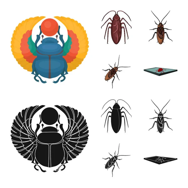 Vector illustration of insect and beetle symbol. Set of insect and halloween vector icon for stock. — Stock Vector