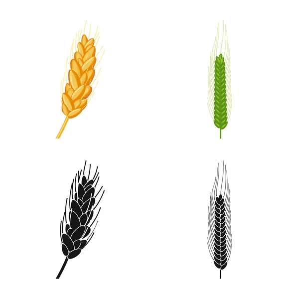 Vektorillustration von Landwirtschaft und landwirtschaftlichem Zeichen. Set von Landwirtschaft und Pflanzenvektorsymbolen für Aktien. — Stockvektor