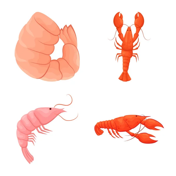 Ilustración vectorial del logotipo del camarón y el cangrejo. Conjunto de camarones y vector de mar icono para stock . — Archivo Imágenes Vectoriales