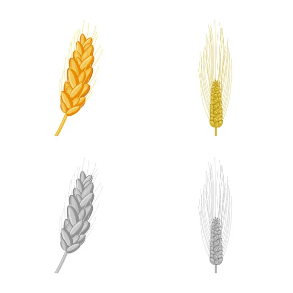 Conception vectorielle de l'agriculture et symbole de l'agriculture. Collection d'agriculture et de matériel végétal symbole pour la toile . — Image vectorielle