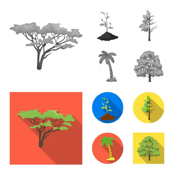 Ilustração vetorial do ícone árvore e floresta. Conjunto de árvore e ícone de vetor verde para estoque . — Vetor de Stock