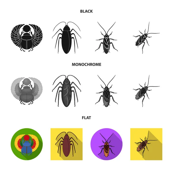 Isolated object of insect and beetle symbol. Set of insect and halloween vector icon for stock. — Stock Vector