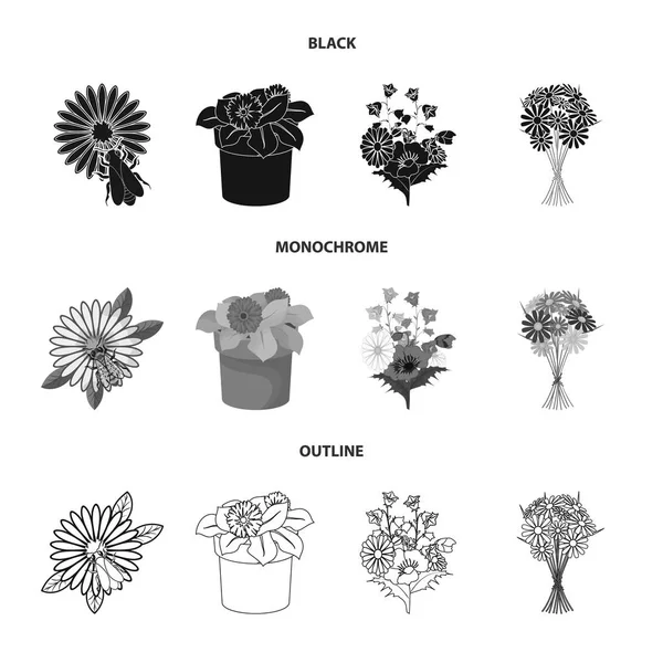 Projeto vetorial do logotipo da mola e da grinalda. Coleção de primavera e flor símbolo de estoque para web . —  Vetores de Stock