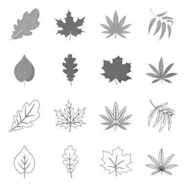 Vegan ve organik sembolü yalıtılmış nesne. Vegan ve taze stok vektör çizim koleksiyonu.