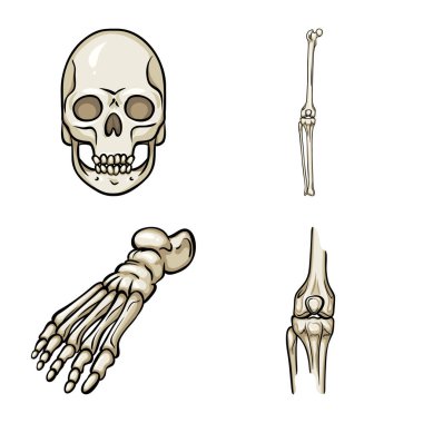 Kemik ve iskelet simgesinin vektör çizimi. Stok için kemik ve insan vektör simgesi koleksiyonu.