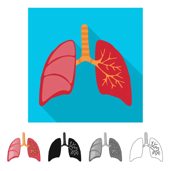 Objeto isolado de biologia e ícone científico. Coleção de biologia e ilustração vetorial de estoque de laboratório . — Vetor de Stock