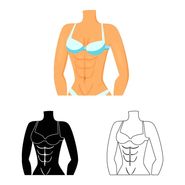Diseño vectorial de fibra y logo muscular. Conjunto de fibra y cuerpo símbolo de stock para web . — Vector de stock