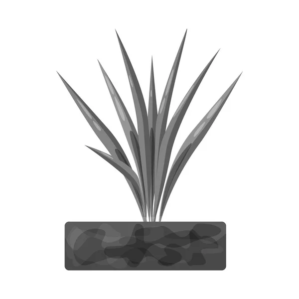 Vektordesign von Rispe und Reis-Logo. Sammlung von Rispen und Blattsymbol für das Netz. — Stockvektor