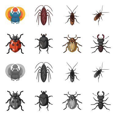 Böcek ve böcek sembolüizole nesne. Böcek ve cadılar bayramı stok vektör illüstrasyon seti.