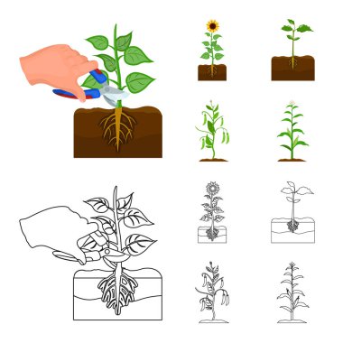 Bitki ve fasulye işareti vektör illüstrasyon. Bitki ve proses stok vektör illüstrasyonunun toplanması.