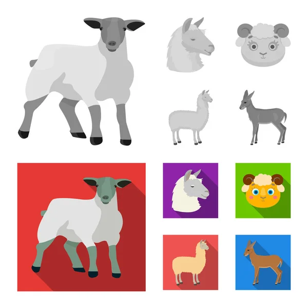 Izolovaný objekt označení ovcí a koz. Sada ovcí a šťastné vektorové ilustrace. — Stockový vektor