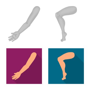 Vücut ve bölümü logo vektör Illustration. Hisse senedi için vücut ve anatomi vektör simge kümesi.