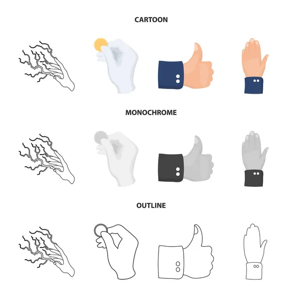 Na białym tle obiekt animowany i kciuk ikona. Zbiór animowanych i gest Stockowa ilustracja wektorowa. — Wektor stockowy