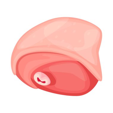 Uyluk ve tavuk sembolü vektör tasarımı. Uyluk ve kızarmış stok vektör illüstrasyon seti.