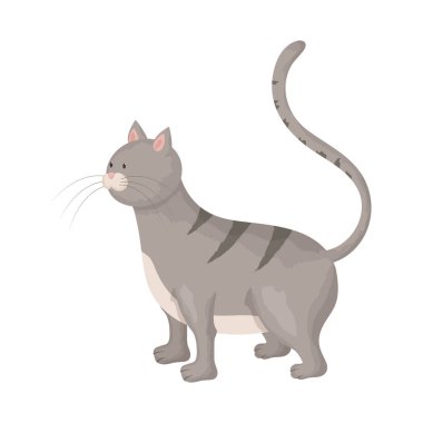 Kedi ve kedi logosunun izole nesnesi. Stok için kedi ve hayvan vektör simgesikoleksiyonu.