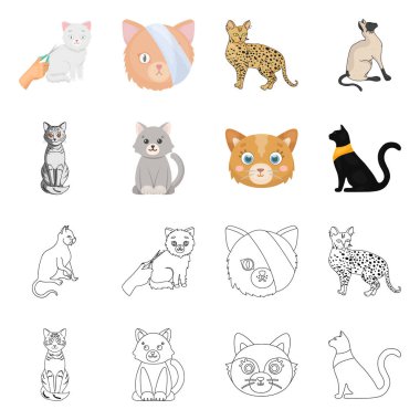 Evde beslenen hayvan ve sphynx simge vektör Illustration. Web için evde beslenen hayvan ve eğlenceli hisse senedi simgesi kümesi.