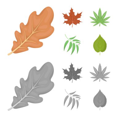 Vegan ve organik işareti vektör tasarımı. Vegan ve taze stok vektör çizim.