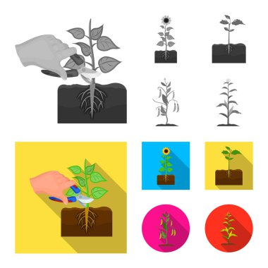 Bitki ve fasulye sembolü izole nesne. Stok için bitki ve proses vektör simgesinin toplanması.