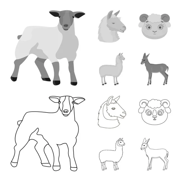 Vektorová design loga ovcí a koz. Kolekce ovcí a šťastný burzovní symbol pro web. — Stockový vektor