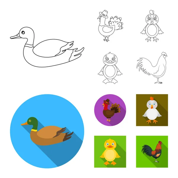 Diseño vectorial de símbolo divertido y avícola. Conjunto de divertido y agrícola símbolo de stock para la web . — Archivo Imágenes Vectoriales