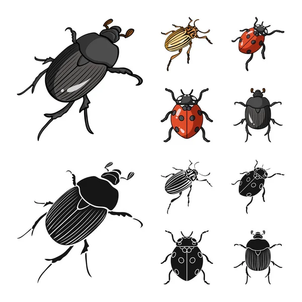Изолированный объект с логотипом насекомого и жука. Коллекция векторных иллюстраций насекомых и Хэллоуина . — стоковый вектор
