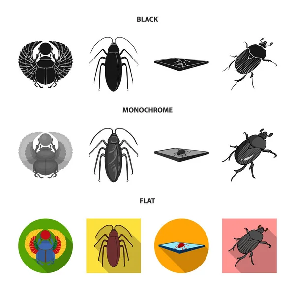 Isolated object of insect and beetle icon. Set of insect and halloween stock vector illustration. — Stock Vector