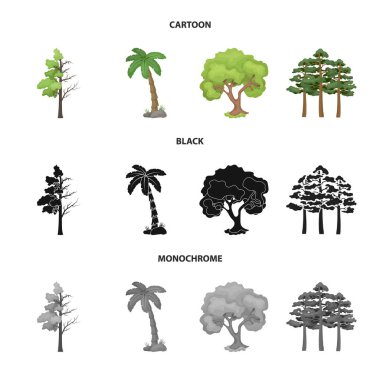 Ağaç ve orman işareti vektör tasarımı. Stok için ağaç ve yeşil vektör simgesi kümesi.