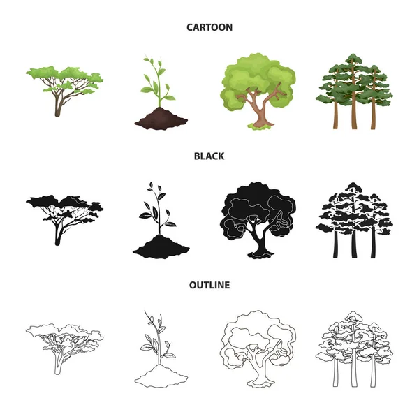 Vector ontwerp van boom en bos symbool. Collectie van boom en groene voorraad symbool voor web. — Stockvector
