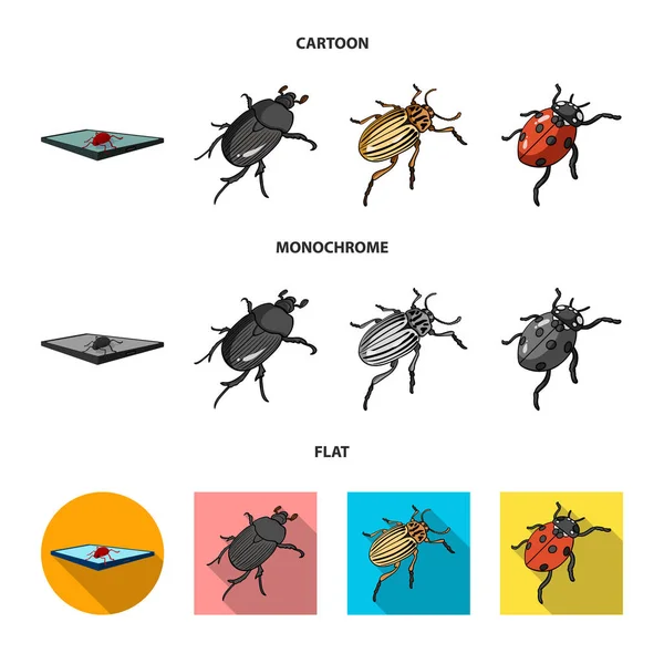 Vector illustration of insect and beetle icon. Collection of insect and halloween vector icon for stock. — Stock Vector