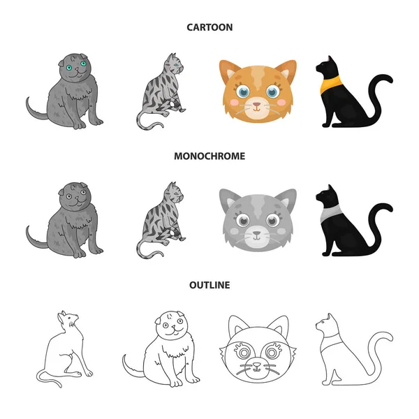 Vektordesign von Haustier und Sphynx-Symbol. Sammlung von Tier- und Spaßsymbolen für das Web. — Stockvektor