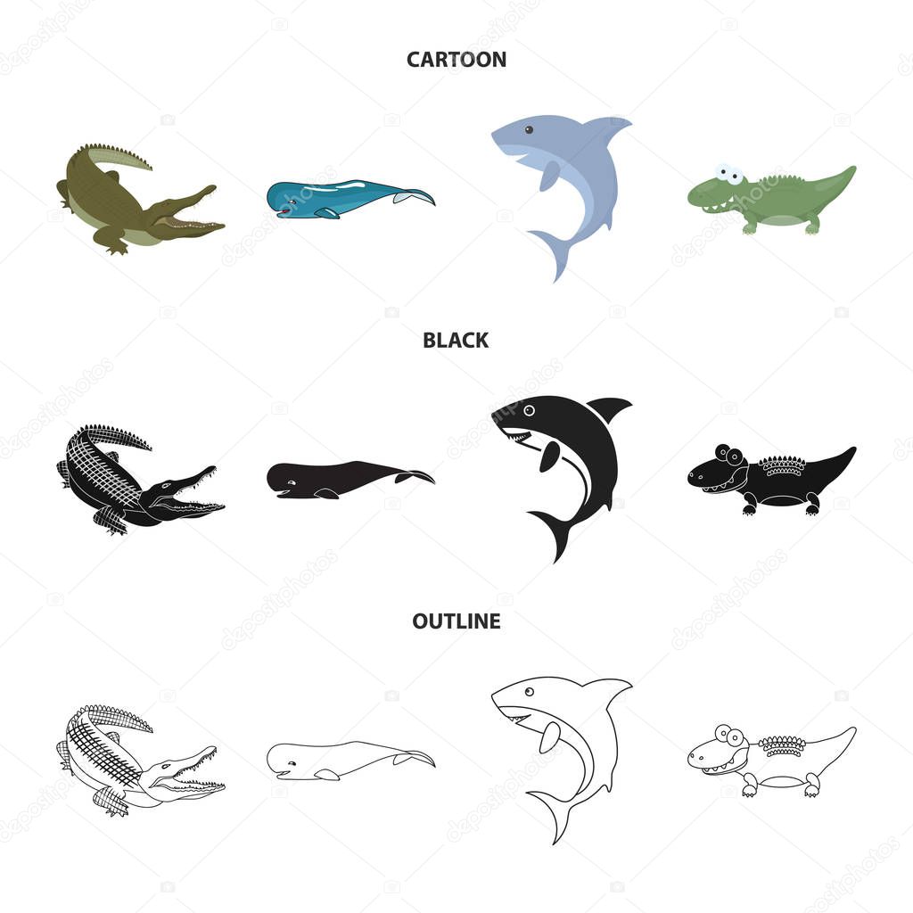 Vector illustration of sea and ocean icon. Collection of sea and reptiles stock symbol for web.